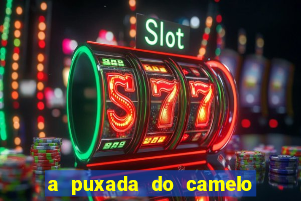 a puxada do camelo no jogo do bicho